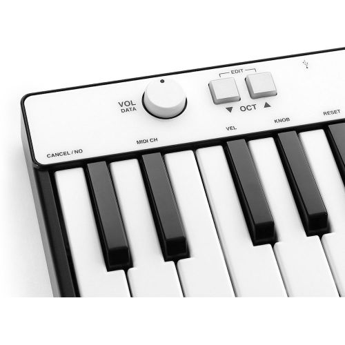 MIDI ( миди) клавиатура IK MULTIMEDIA iRig Keys Mini